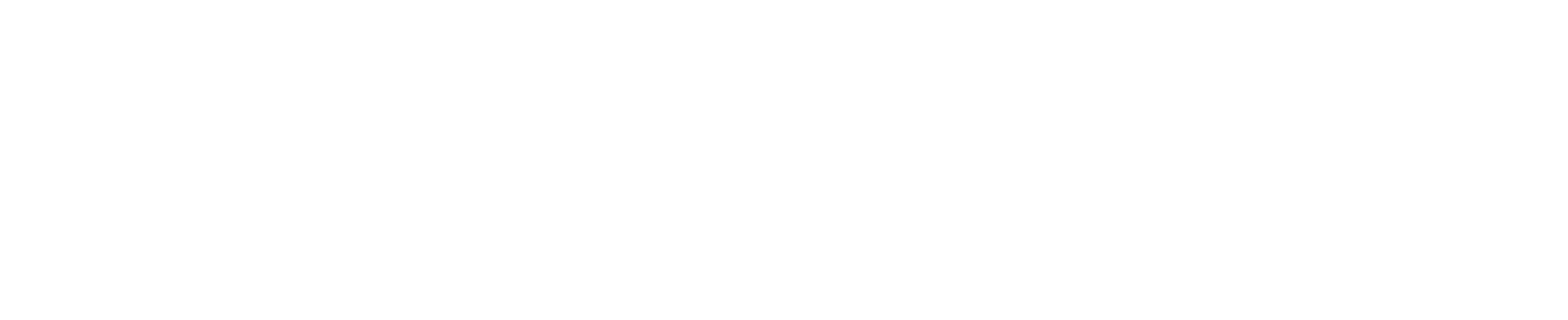 Logo_branco@4x